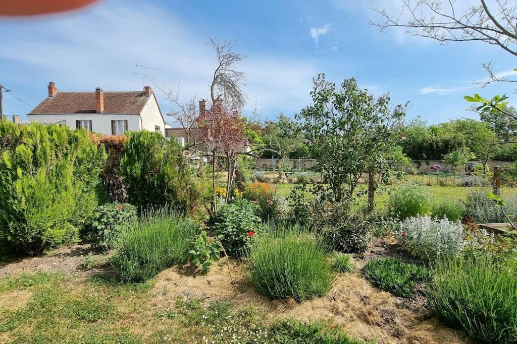 Les Noyers Monestois Entre Cher Et Canal De Berry Mennetou-sur-Cher Extérieur photo