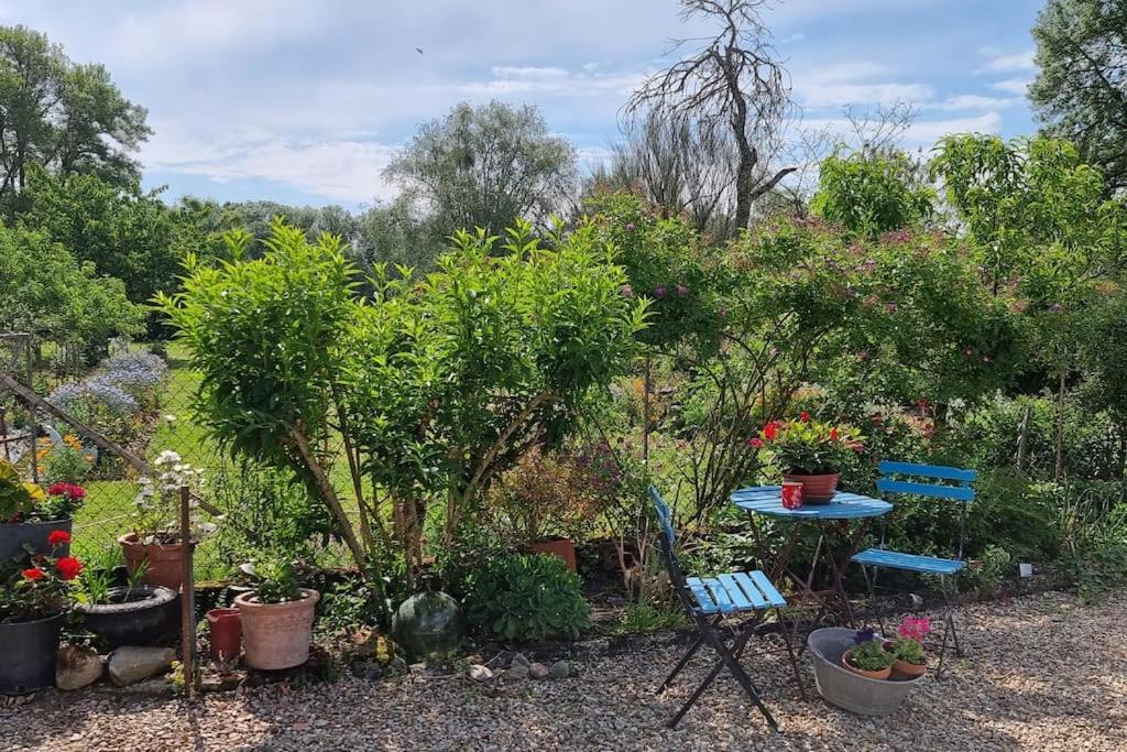 Les Noyers Monestois Entre Cher Et Canal De Berry Mennetou-sur-Cher Extérieur photo