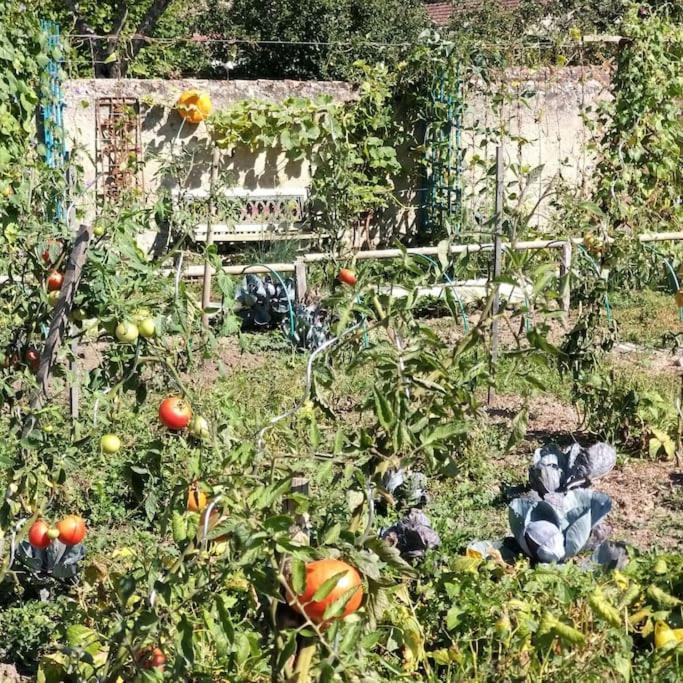 Les Noyers Monestois Entre Cher Et Canal De Berry Mennetou-sur-Cher Extérieur photo